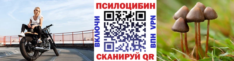 где найти   Азов  Галлюциногенные грибы GOLDEN TEACHER 